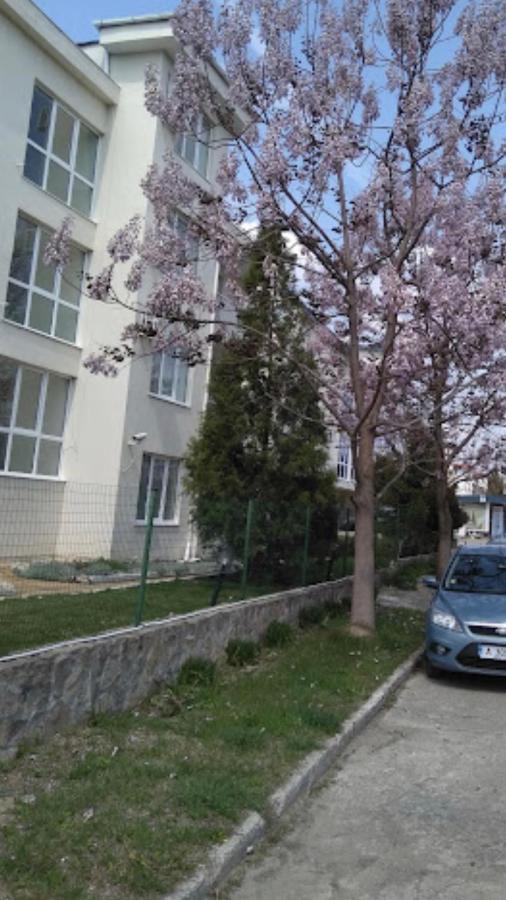Rutland Sp Apartments 라브다 외부 사진